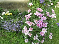 489b669e-Picture 767.jpg
